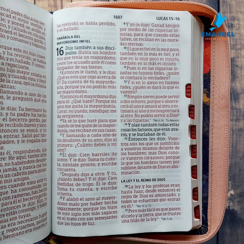 Biblia Letra Gigante Tamaño Manual con referencias-Multicolor RVR1960