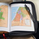 RVR 60 Biblia Letra Grande Rosada con cierre e Indice.