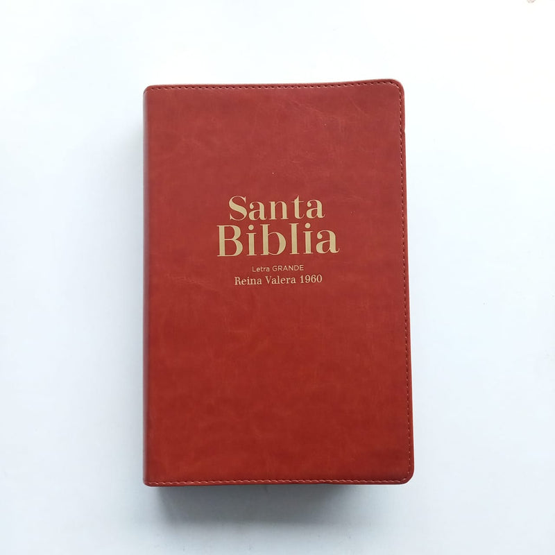 Santa Biblia Tamaño Manual Letra Grande / Café RVR1960