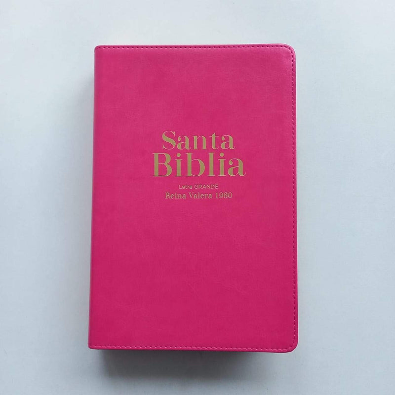 Santa Biblia Tamaño Manual Letra Grande / RosaRVR1960