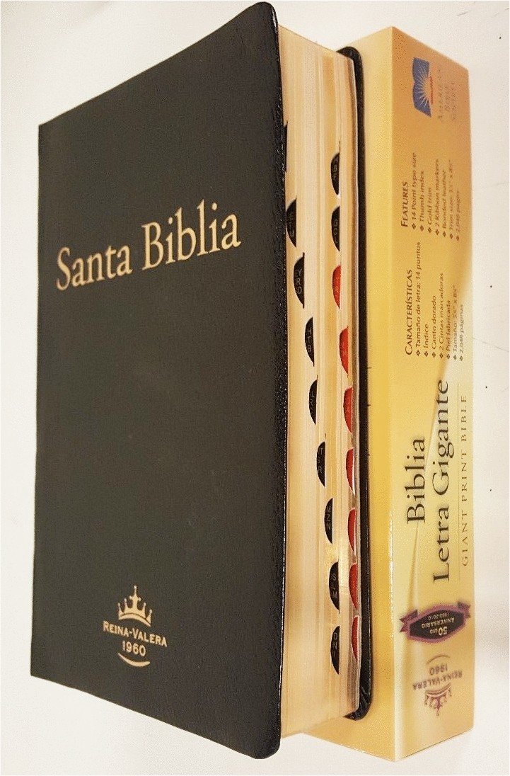 BIBLIA LETRA GIGANTE RVR 1960,
