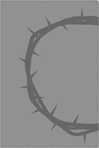 VI Santa Biblia ultrafina, dos tonos italiana gris