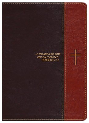 Biblia de estudio del diario vivir RVR60, letra grande (Letra Roja, SentiPiel, Café/Café claro)