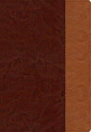 Santa Biblia NTV, Edición compacta, DuoTono marron cafe