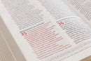 Biblia Peshitta, Negro Imitación Piel: Revisada Y Aumentada