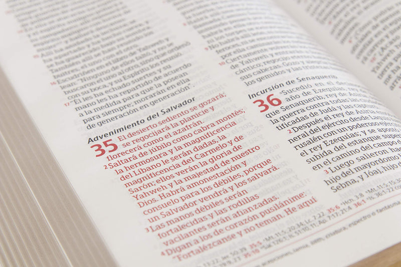 Biblia Peshitta, Negro Imitación Piel: Revisada Y Aumentada