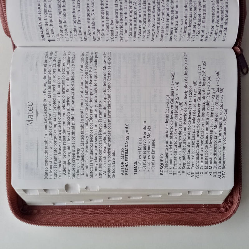 Biblia Letra Grande Tamaño Manual con referencias /café RVR1960