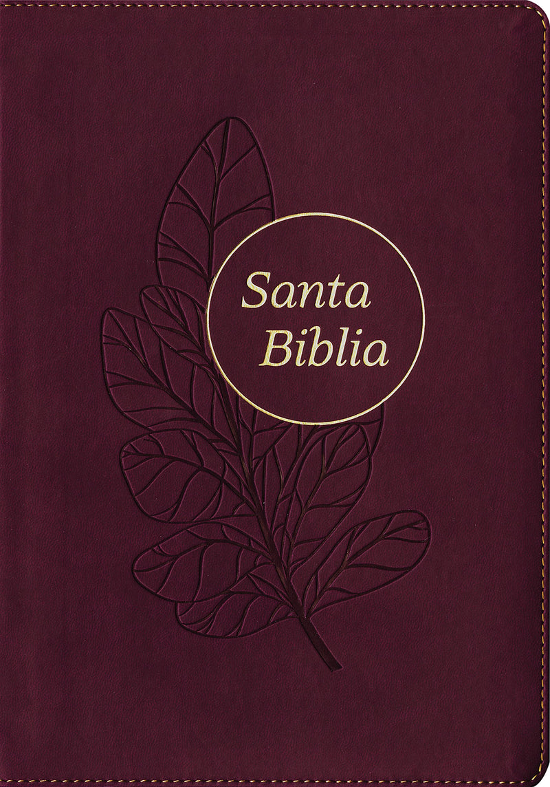 Santa Biblia RVR60, Edición de referencia ultra fina, letra grande (Letra Roja, SentiPiel, Ciruela)