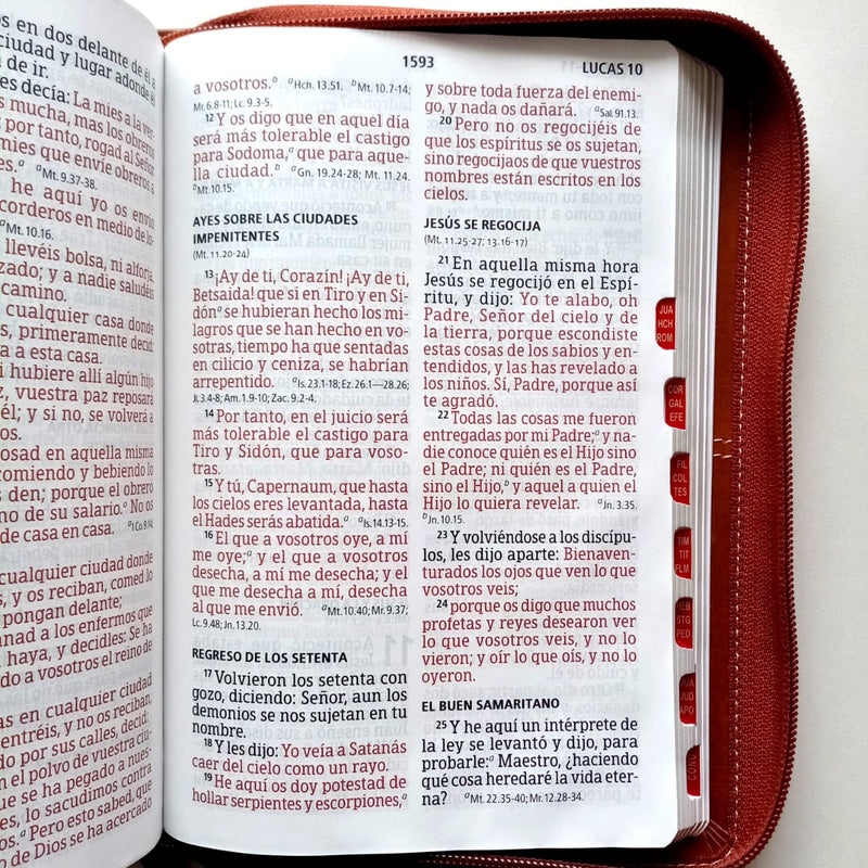 Biblia Letra Gigante Tamaño Manual con referencias-Caoba/marrón RVR1960