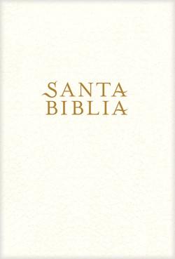 Santa Biblia NTV, Edición súper gigante