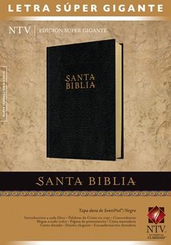 Santa Biblia NTV, Edición súper gigante indice