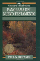 PANORAMA DEL NUEVO TESTAMENTO