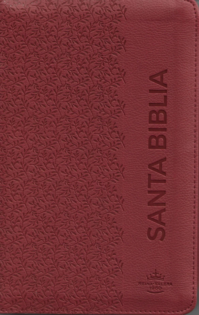 Biblia Letra Grande con Cierre Reina-Valera 1960, imit. piel tamaño manual, vino con índice