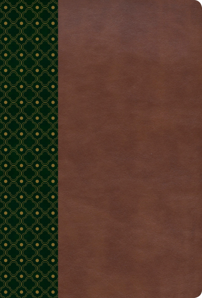 Biblia de Estudio Scofield RVR 1960 , verde oscuro/castaño símil piel con índice