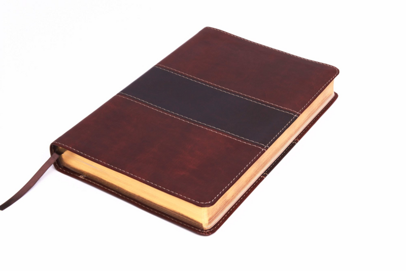RVR 1960 Biblia del Pescador, caoba símil piel de lujo