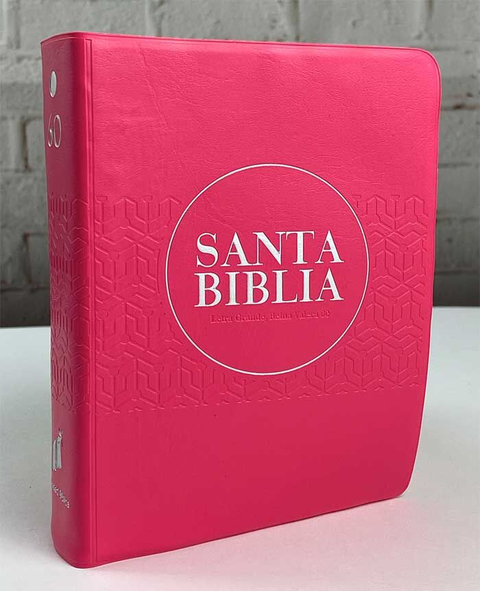 Biblia RVR60 bolsillo vinilo rosa con borde rosa