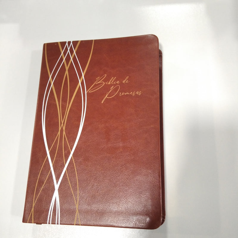 Biblia de Promesas Letra Grande de 13 puntos: Reina-Valera 1960 - café
