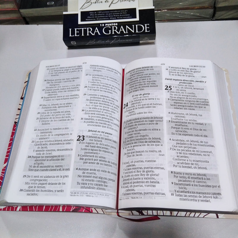 Biblia De Promesas-RVR60-Letra Grande-Floral