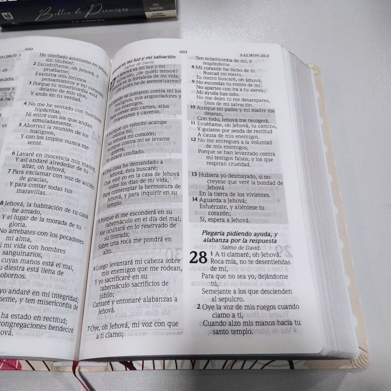 Biblia De Promesas-RVR60-Letra Grande-Floral