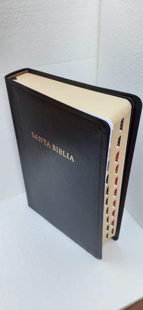RVR 1960 Biblia Letra Grande Tamaño Manual, negro imitación piel con índice