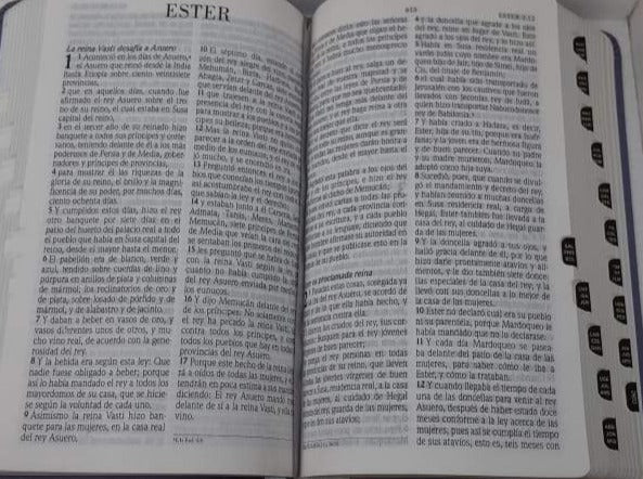 Biblia de Promesas Manual Letra Grande RVR1960 imit. piel purpura con indice