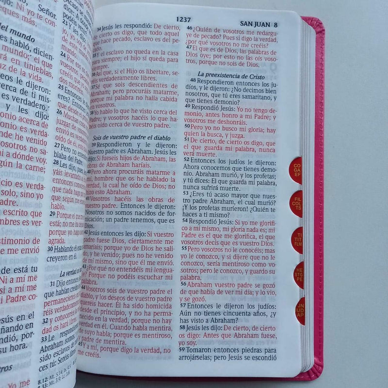 Santa Biblia Tamaño Manual Letra Grande / RosaRVR1960