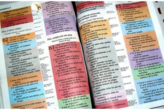 Biblia de Estudio Arco Iris RVR60 multicolor tapa dura con indice
