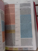 Biblia De Estudio Arco Iris  NTV - Frambuesa