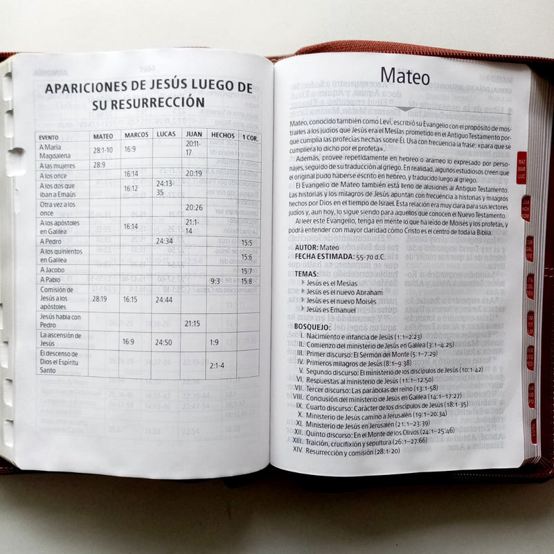 Biblia Letra Gigante Tamaño Manual con referencias-Caoba/marrón RVR1960