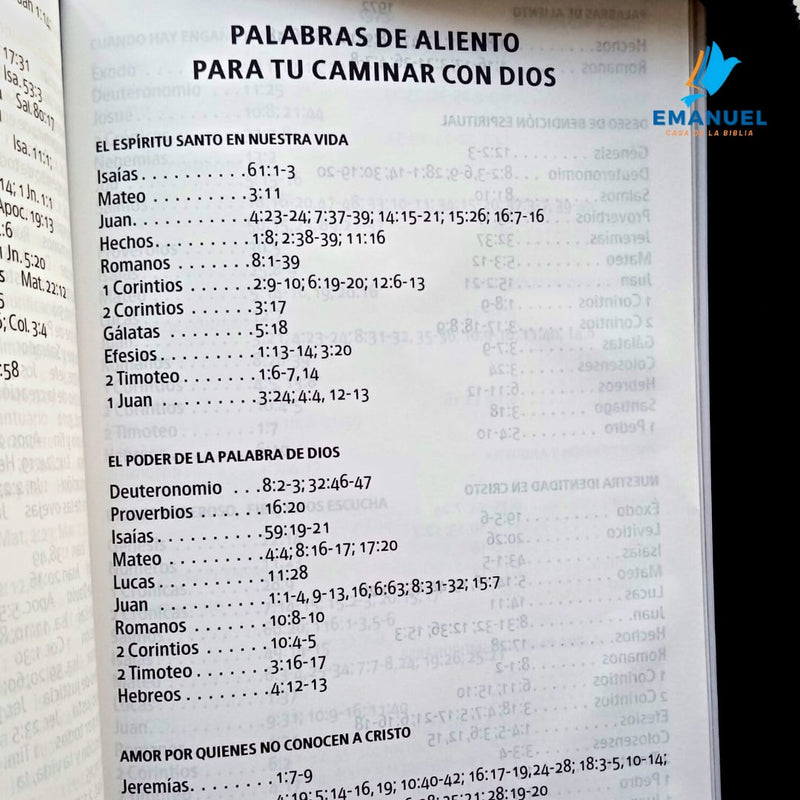 Biblia Letra Gigante Tamaño Manual con referencias-Negro  RVR1960