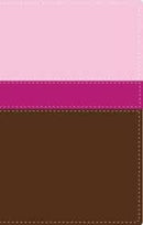 Biblia NVI Heroes con Dante Gebel, Piel Imit. Rosada/Marron